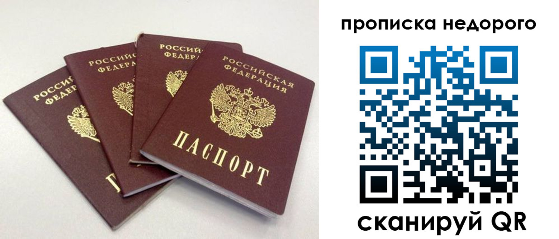 прописка законно в Заинске